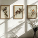 The Timeless Beauty of Bird Paintings